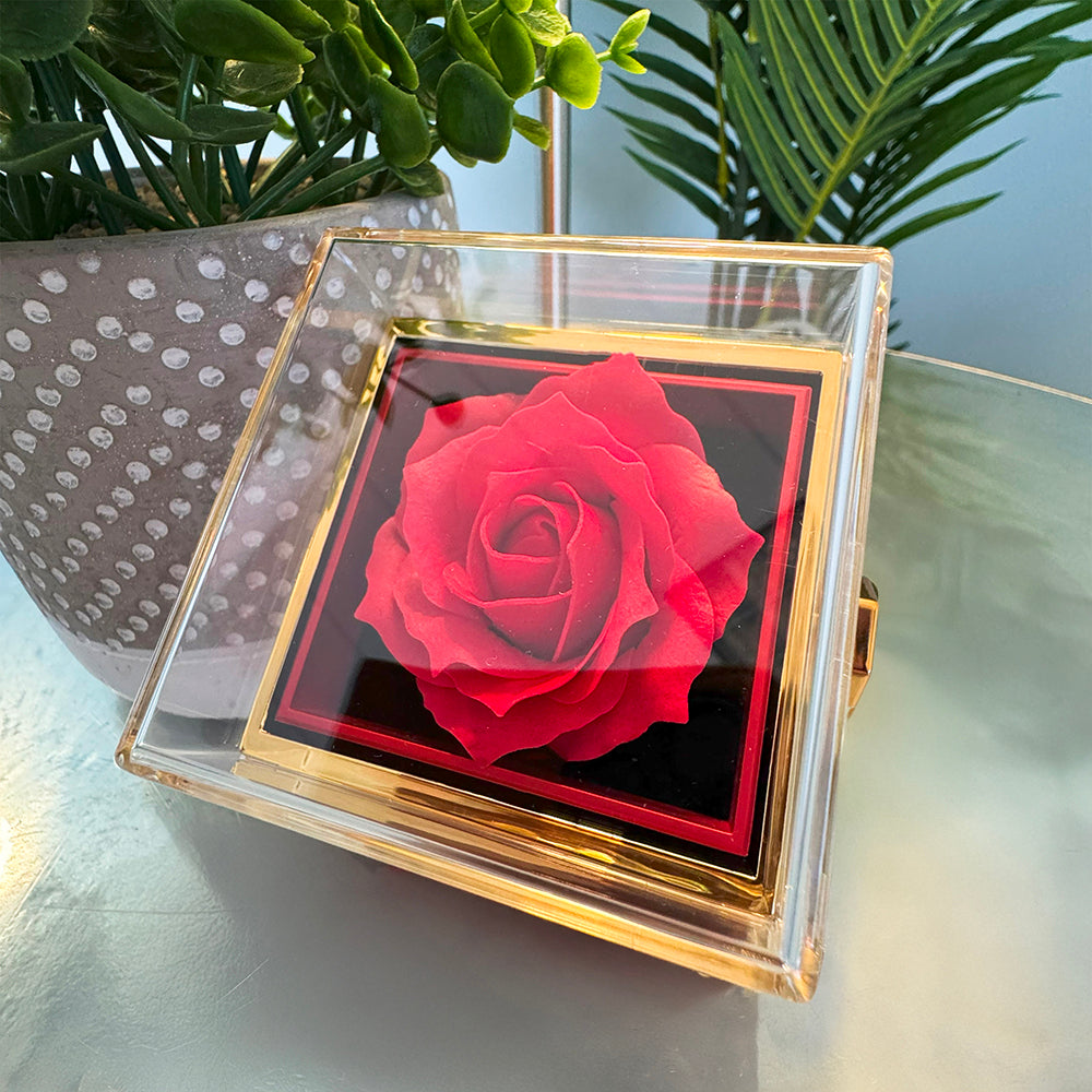 Forever Love Necklace with Rotating Rose Gift Box For my one and only Love